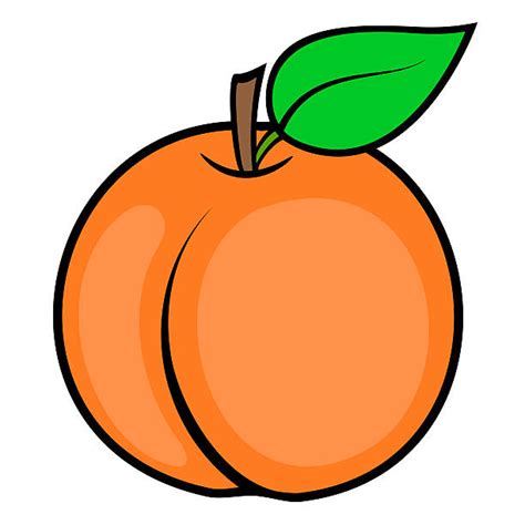 Juicy Peach Illustrations Royalty Free Vector Graphics And Clip Art Istock
