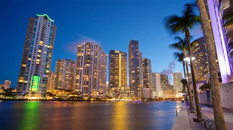 Downtown Miami Miami Holiday Accommodation Holiday Houses And More Stayz