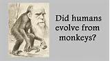 Theory Evolution Charles Darwin Pictures