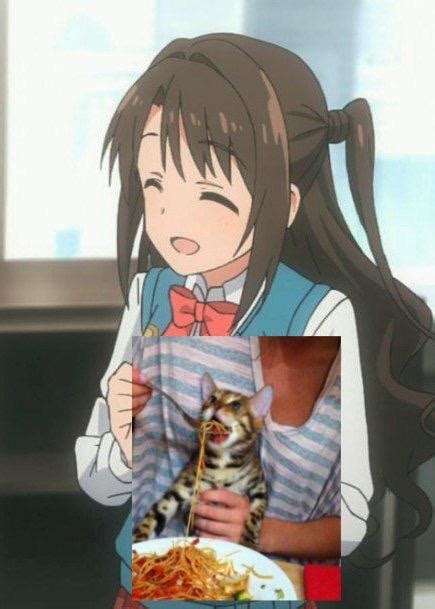 Anime Girls Feeding Cats Spaghetti Animemes