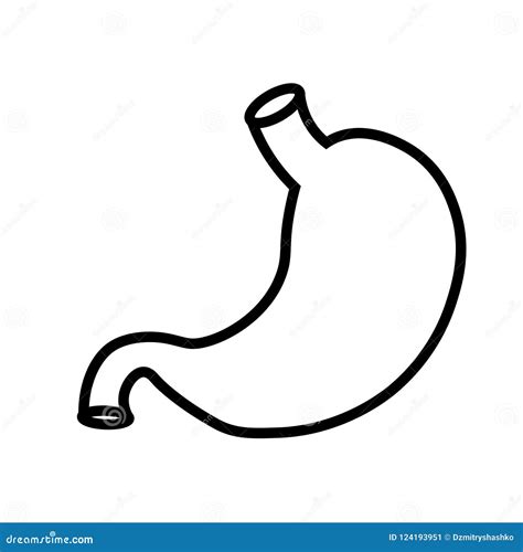 Human Stomach Outline