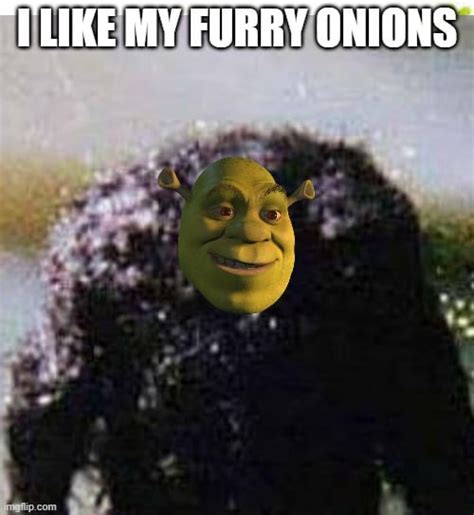 My Hairy Shrek Meme Rshrekmemes
