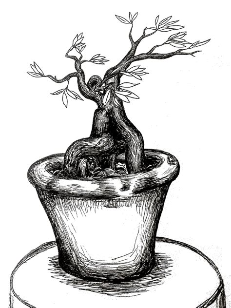 Daily Sketch 90 Potted Plant By Jacofnight On Deviantart