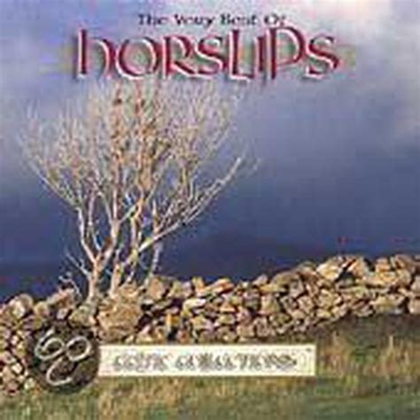 Ultimate Irish Folk Rock Horslips Cd Album Muziek