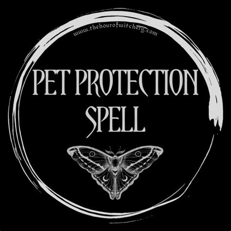 Pet Protection Spell Same Day Option Spells Spell Casting Energy