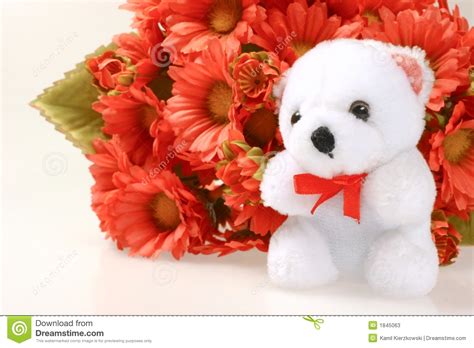 Flowers n teddy bear ; Teddy bear with flowers stock image. Image of spring ...