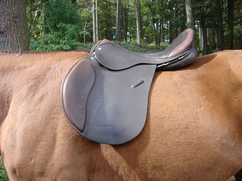 The Importance Of Saddle Fit Equine Ink
