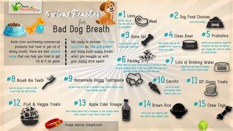15 Home Remedies For Bad Dog Breath Home Remedies Natural And Herbal