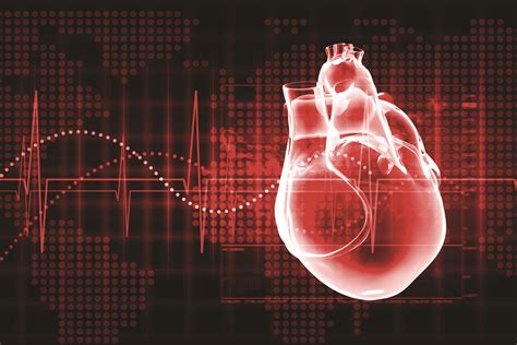 Trastornos del Ritmo Cardíaco La Guía del Paciente para Corazón los