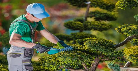 Landscaper Questions 5 Important Things To Ask When Hiring