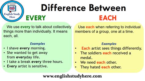 Difference Between Every And Each English Study Here