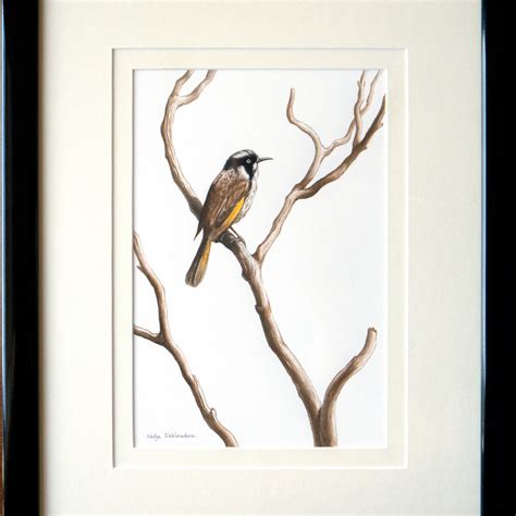 Song Of The Honeyeater Framed Watercolour Painting By Nadya