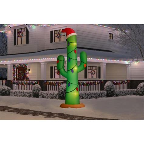 Always take into consideration the climate and time of year. Home Depot Is Selling A 12-Foot Christmas Cactus ...