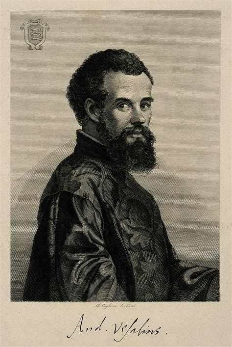 Who is Who in Terminology: Andreas Vesalius (1514-1564) - In My Own Terms