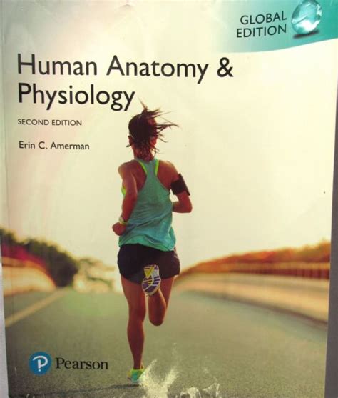 Human Anatomy And Physiology Second Edition Paperback Book By Amerman