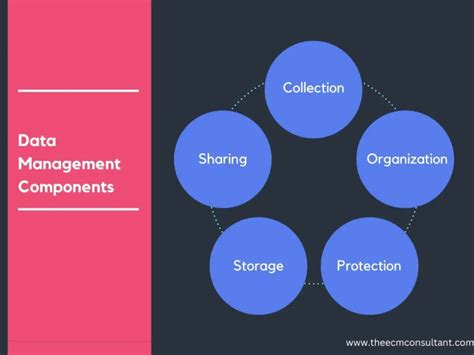 What Are The Key Components Of Data Management