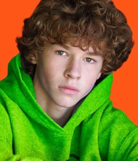 Dylan Hoffman Wiki Biography Age Net Worth Contact And Latest Info The Daily Biography