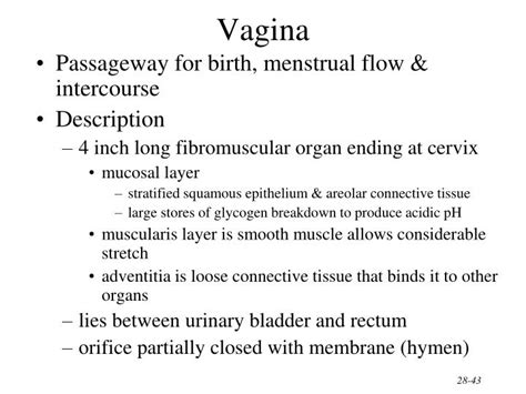 Ppt Chapter 28 The Reproductive Systems Powerpoint Presentation Id