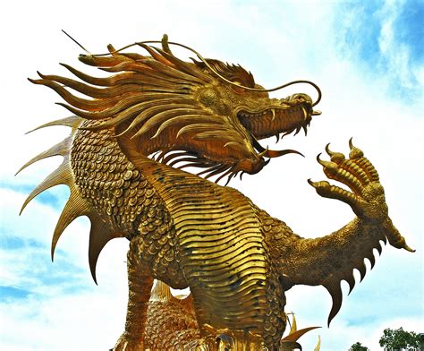 banco de imagens dourado tailândia escultura ilustração dragão dinossauro tiranossauro