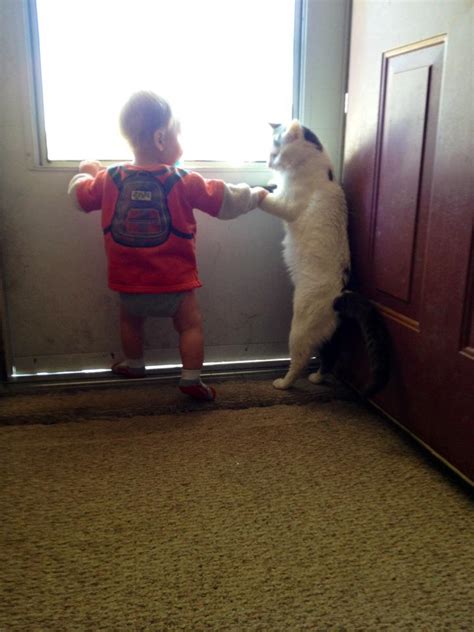 Funny Pictures Of Kids And Animals 30 Pics Amazing