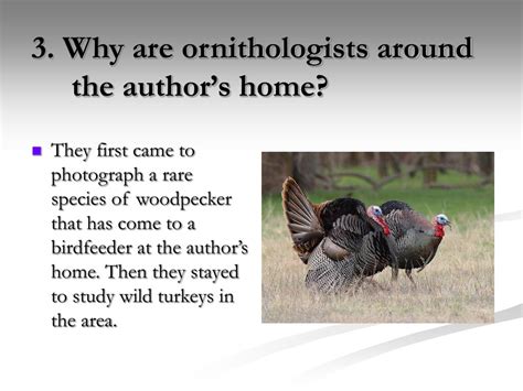 Ppt Turkeys By Bailey White Powerpoint Presentation Free Download