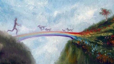 Ill Meet You At The Rainbow Bridge Rainbow Bridge Dog Rainbow