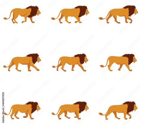 Lions Walk Cycle 2d Animation Frames Frame By Frame Animation Of Lion