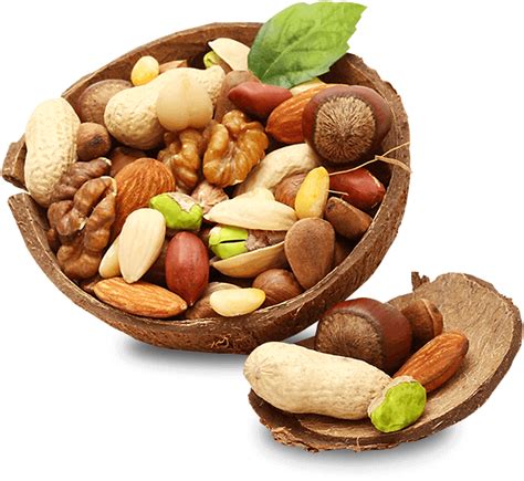 Download Gourmia Dry Fruits Clipartkey