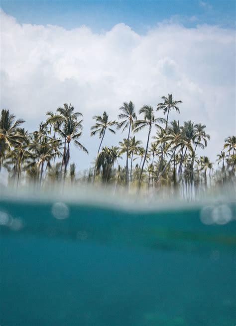 Download Wallpaper 840x1160 Hawaii Beach Sea Wave Palm Trees Iphone