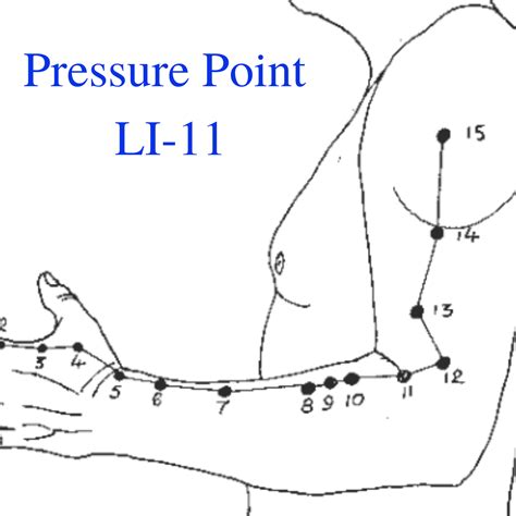 Pressure Point Li 11 How To Cause Anxiety In An Attacker