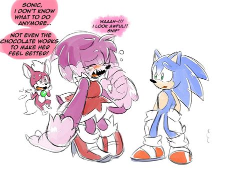 Amy The Werehog 1 Game Sonic Sonic Boom Sonic And Amy Sonic And