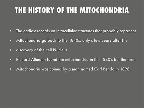 Mitochondria By Robert Funderburke