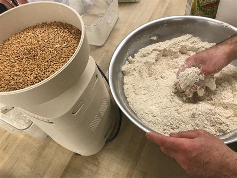7 Reasons To Fall For Freshly Milled Flour Bake With Zing Blog