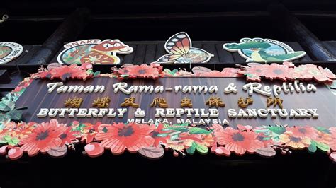 Melaka Butterfly And Reptile Sanctuary Taman Rama Rama And Reptilia