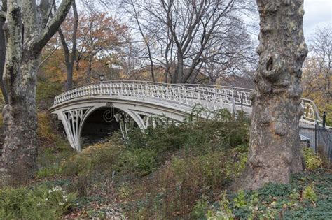 Pedestrian Bridge On Central Park New York Stock Image Image Of