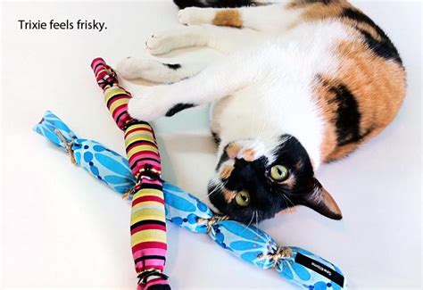 75 Best Diy Cat Toys Images By Spca Of Wake County On Pinterest Cute