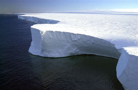 Арктика Антарктика и Антарктида ответ на вопрос в чем разница