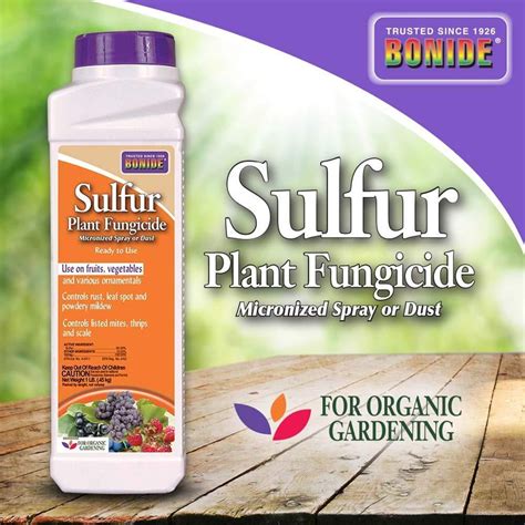 Bnd141 Sulfur Plant Fungicide Organically Controls Rust Leaf Spot