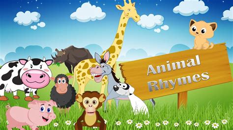 Animal Rhymes Medley Collection Of 15 Rhymes Vol 1 Youtube