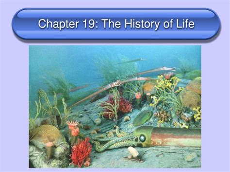 Ppt Chapter 19 The History Of Life Powerpoint Presentation Free