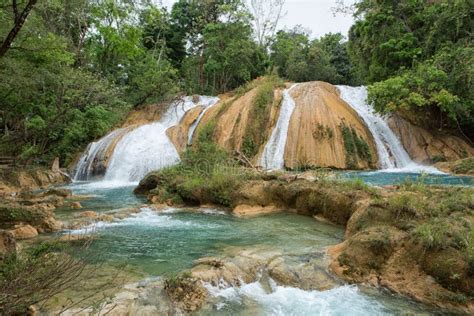 Agua Azul Waterfalls In Chiapas Mexico Stock Image Image Of Nature