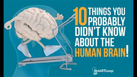 10 Interesting Facts About The Human Brain YouTube