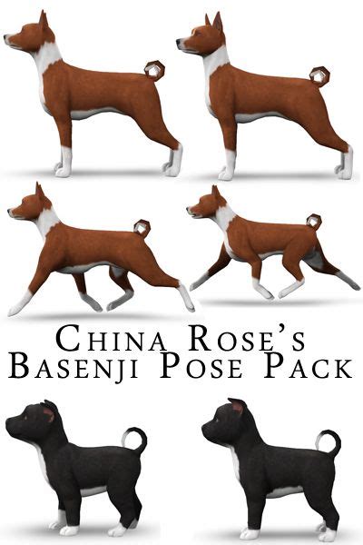 Picture With Images Dog Poses Breeds Poses