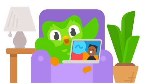 Duo The Blue Jay And Lingo The Green Frog The Official Mascots Of DuoLingo