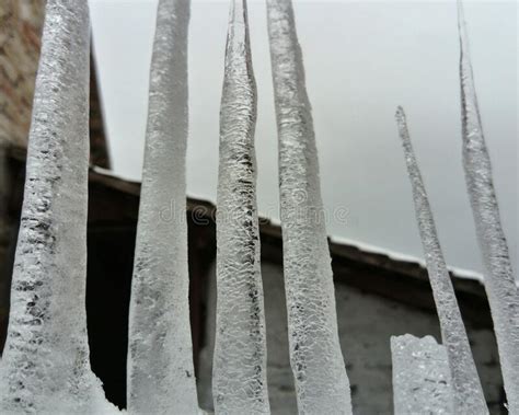 Fence Of Ice Stock Photo Image Of Turned Cold Wall 207647908