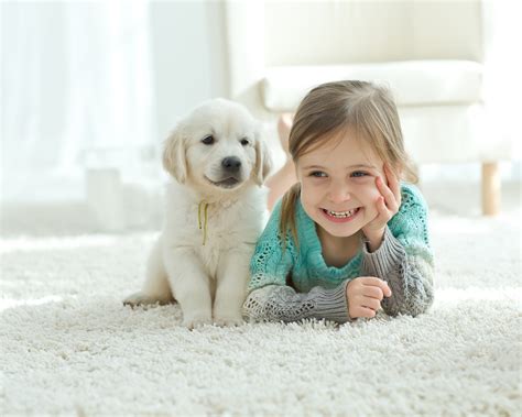 Top 10 Best Dogs For Kids Discover The Friendliest Breeds