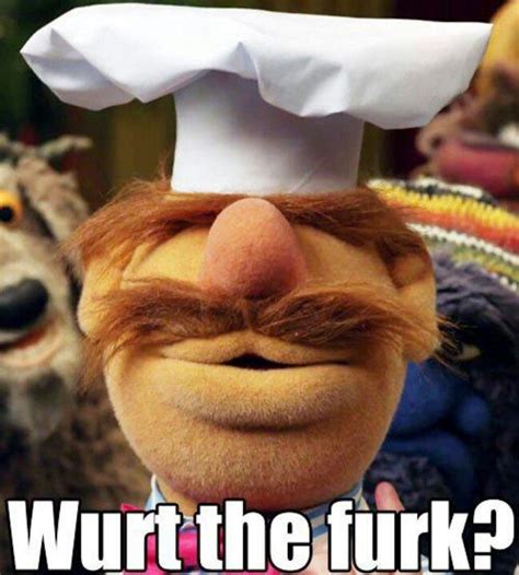 The Internets Most Asked Questions Muppets Funny Funny Jokes Muppets