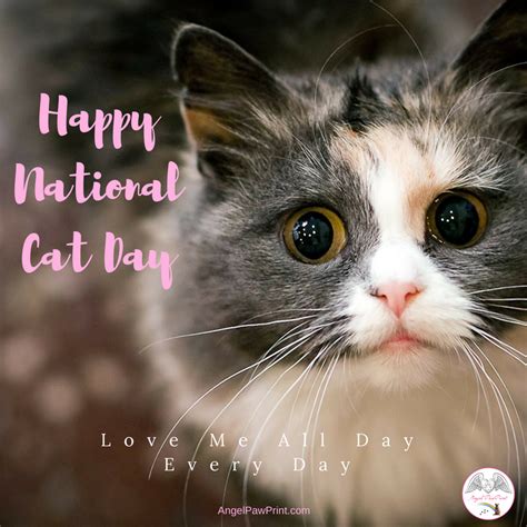 Happy National Cat Day Nationalcatday Cats Petcelebration