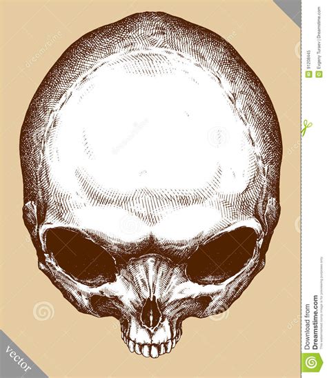 Engrave Alien Skull Hand Drawn Graphic Vector Illustration Stock Vector ...