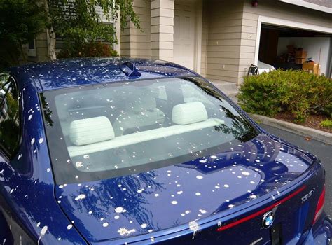 Bird Poop On Car How To Recover The Car Paint Damage